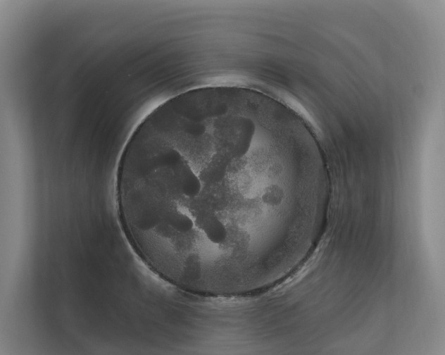 X0000111171087200907011344