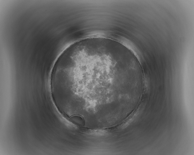 X0000111171090200907011344