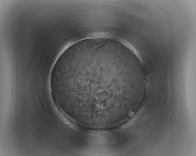 X0000111171091200907011344