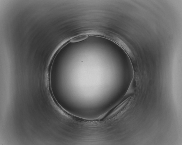 X0000111171092200907011344