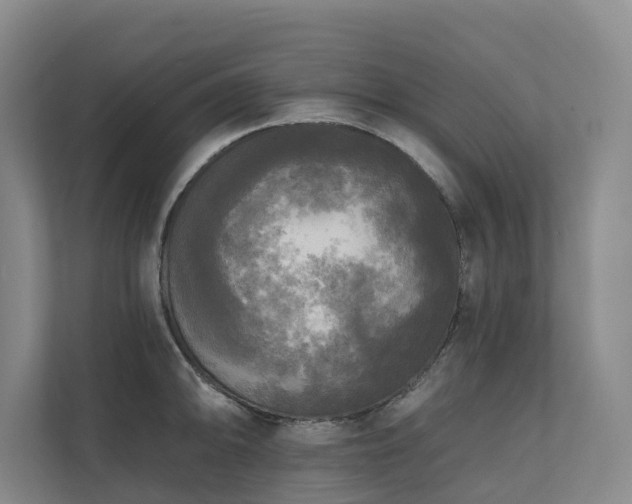 X0000111171094200907011344