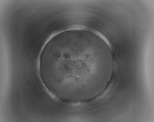 X0000111171099200907011344