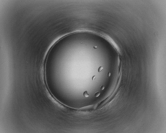 X0000111171100200907011344