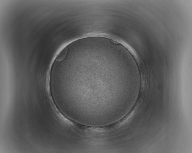 X0000111171102200907011344