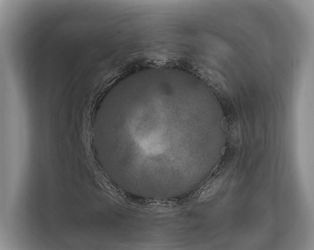 X0000111171105200907011344