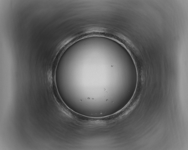 X0000111171113200907011344