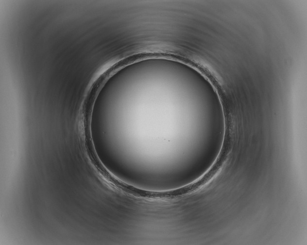 X0000111171114200907011344