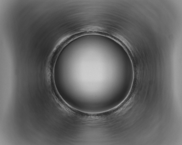 X0000111171115200907011344