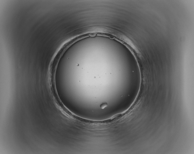 X0000111171116200907011344