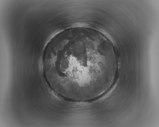 X0000111171117200907011344