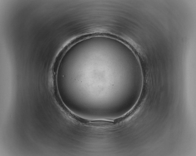 X0000111171118200907011344