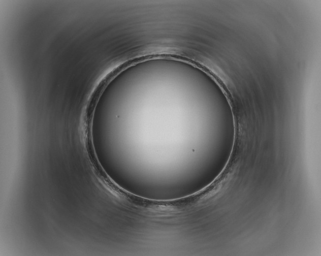 X0000111171119200907011344