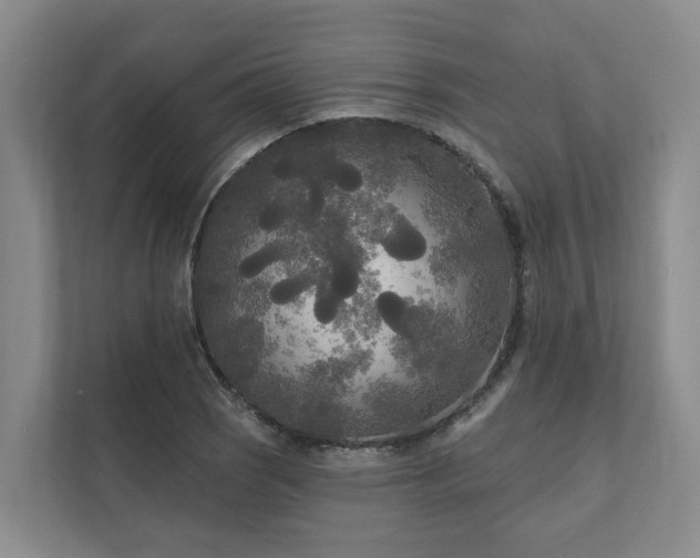 X0000111171121200907011344