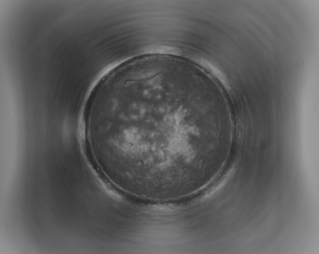 X0000111171125200907011344