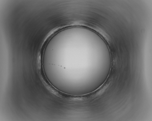 X0000111171126200907011344