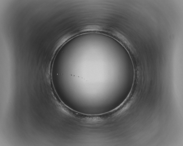 X0000111171129200907011344