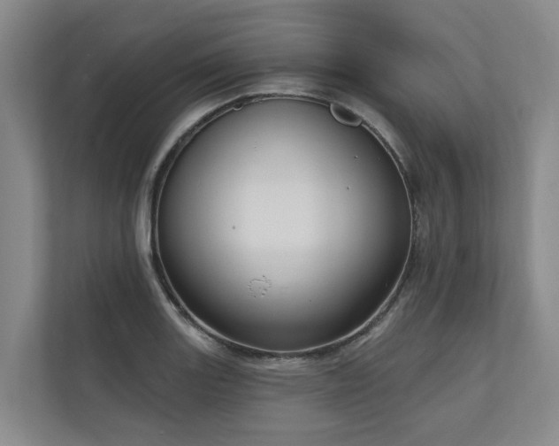 X0000111171131200907011344