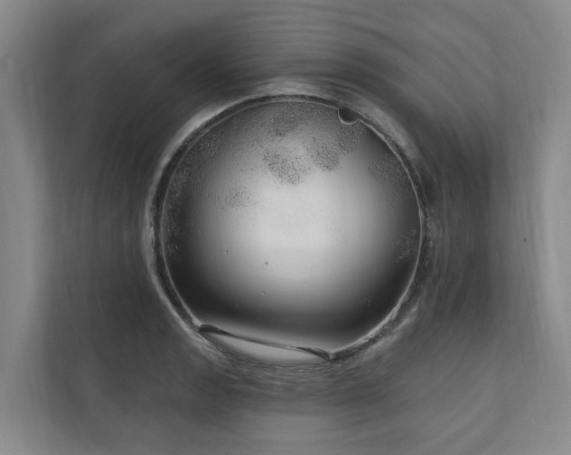 X0000111171133200907011344