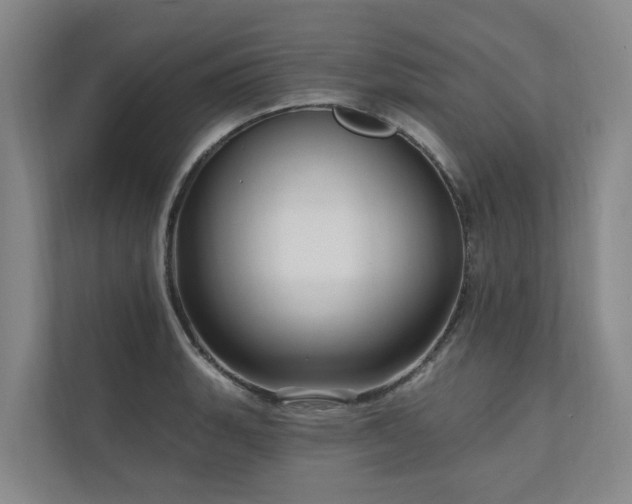 X0000111171135200907011344