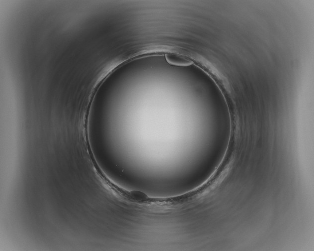 X0000111171137200907011344