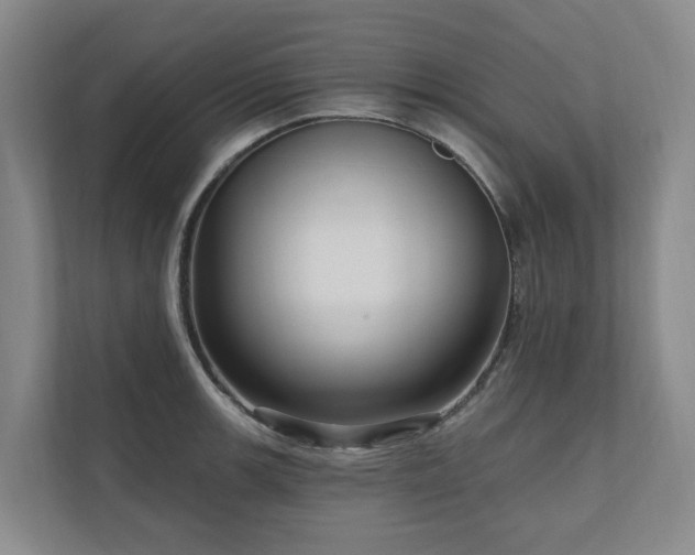 X0000111171139200907011344