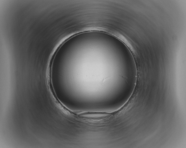 X0000111171140200907011344