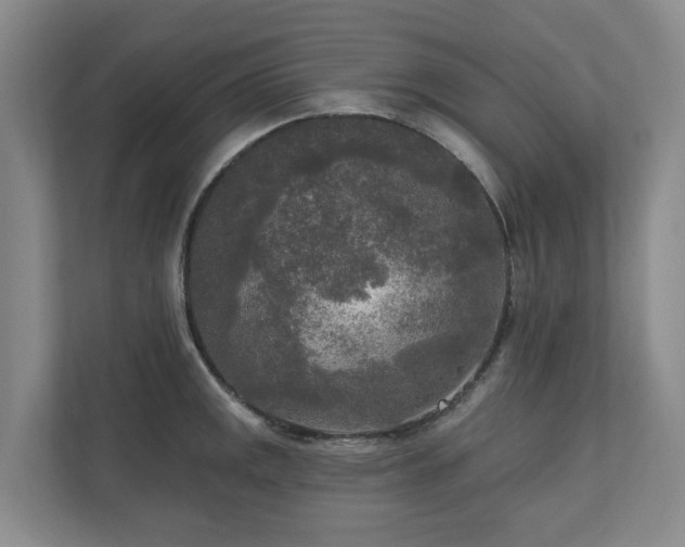 X0000111171141200907011344