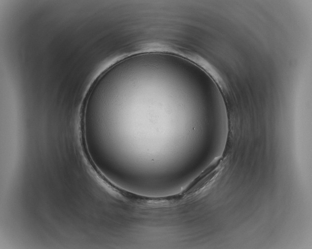 X0000111171142200907011344