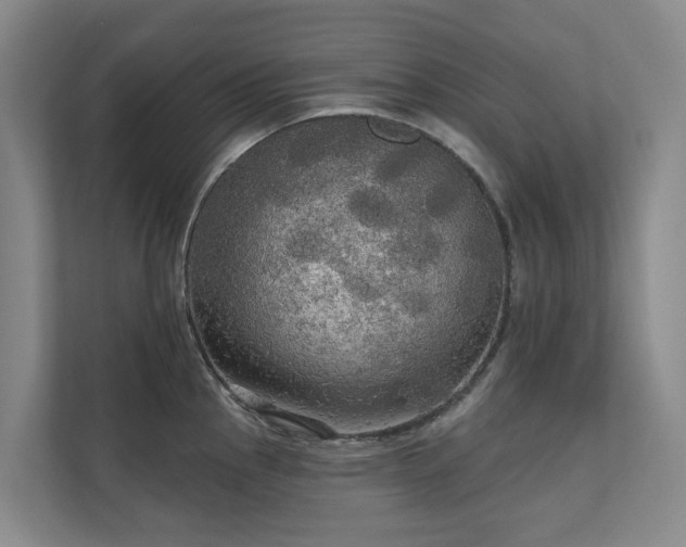 X0000111171145200907011344