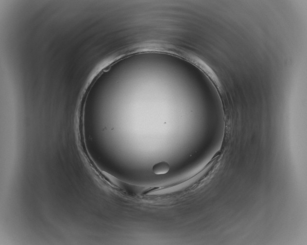 X0000111171146200907011344