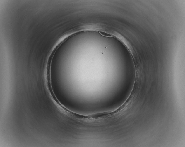 X0000111171147200907011344