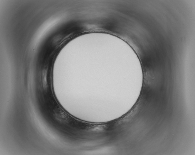 X0000111171150200907011344