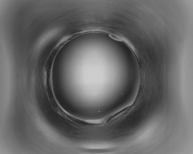 X0000111171151200907011344