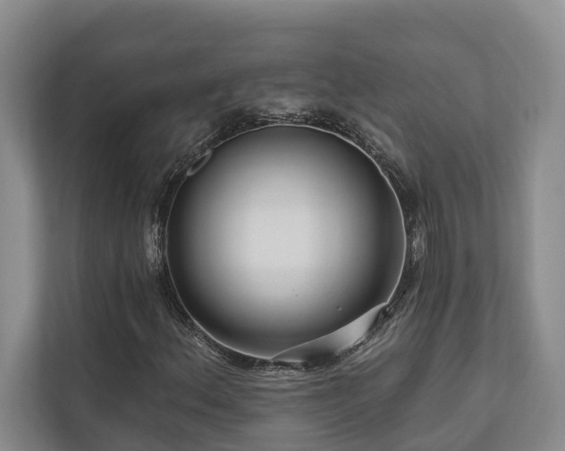 X0000111171156200907011344