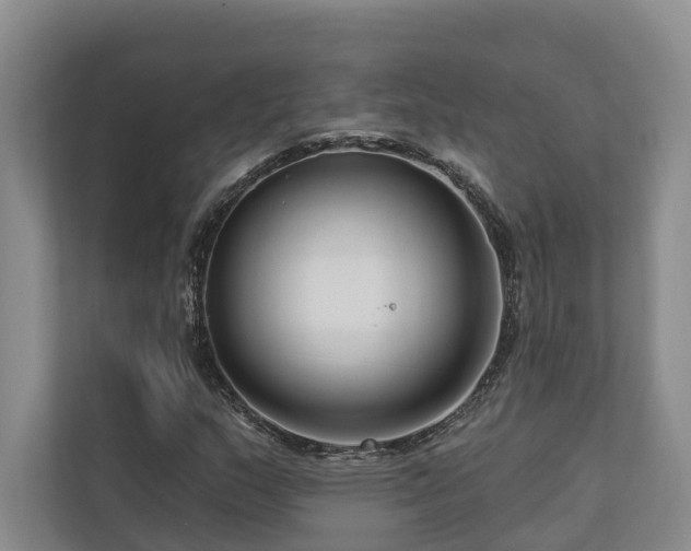 X0000111171159200907011344