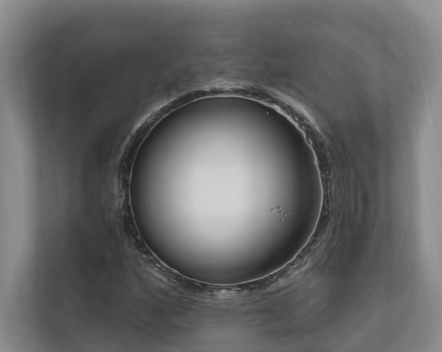 X0000111171160200907011344