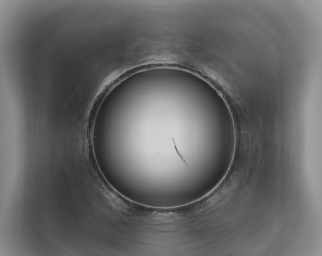 X0000111171168200907011343