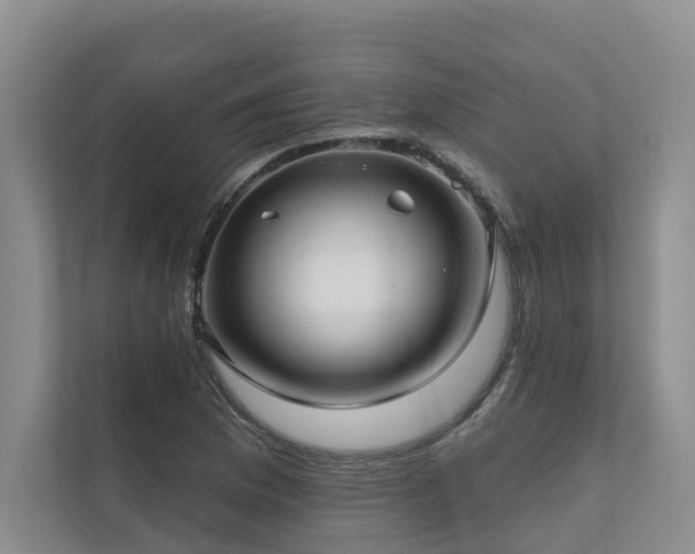 X0000111171169200907011343