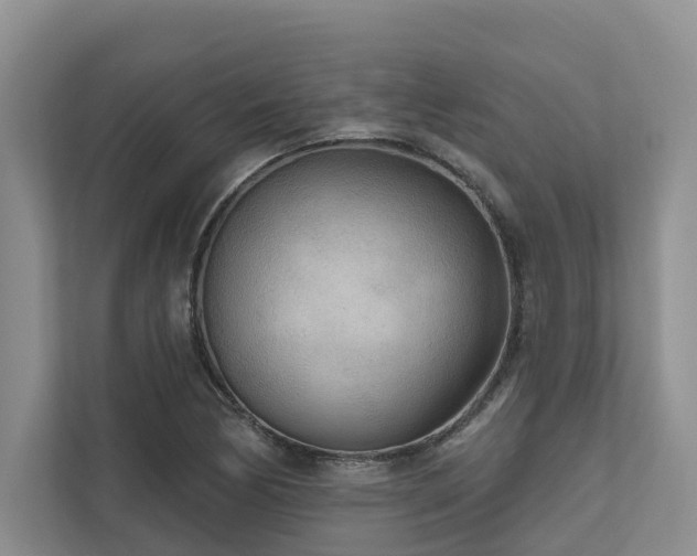 X0000111171170200907011343