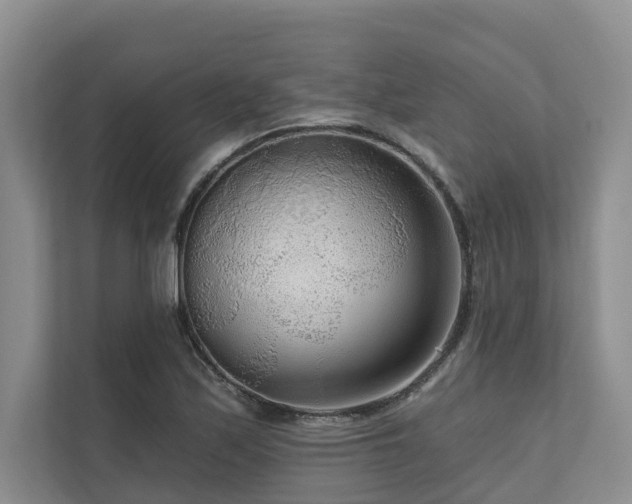 X0000111171171200907011343