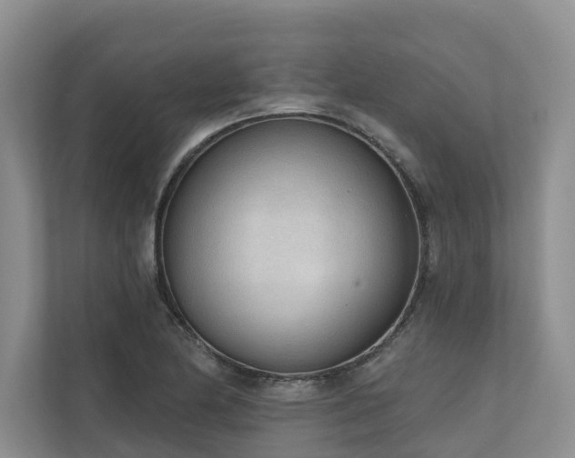 X0000111171174200907011343