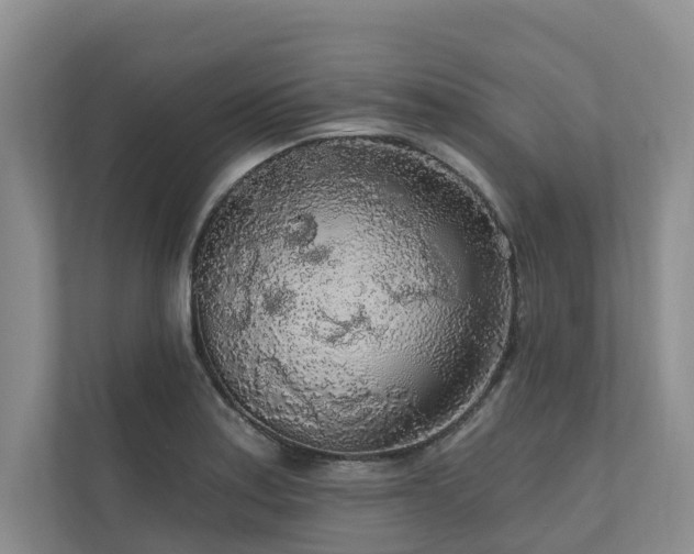 X0000111171179200907011343