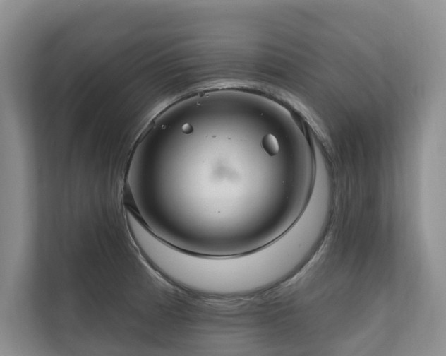 X0000111171185200907011343