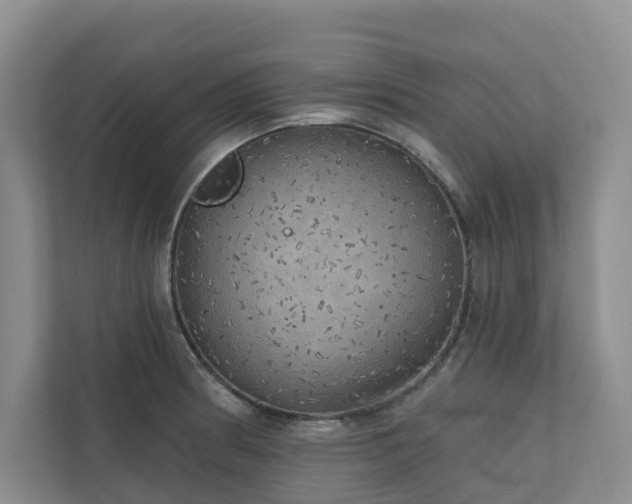 X0000111171186200907011343