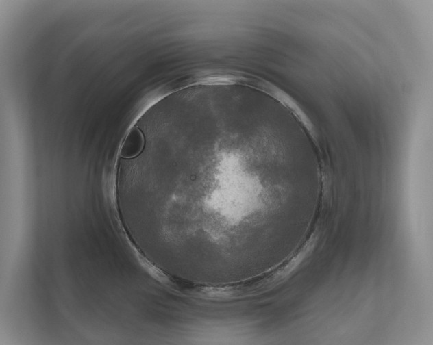 X0000111171194200907011343