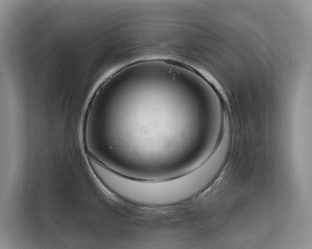 X0000111171197200907011343