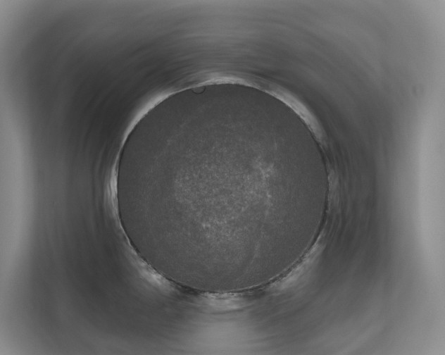 X0000111171198200907011343