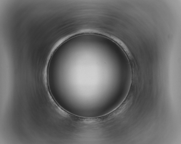 X0000111171199200907011343