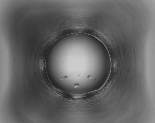 X0000111171204200907011342