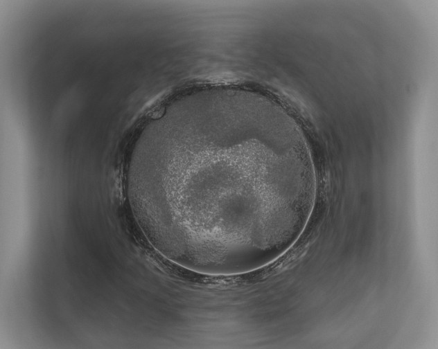 X0000111171205200907011342